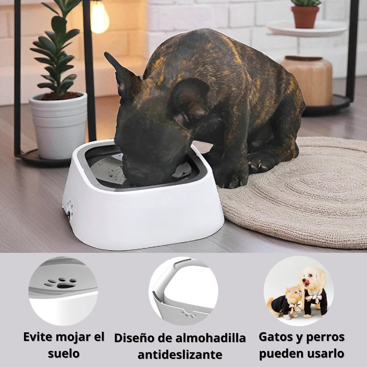 Aquapet