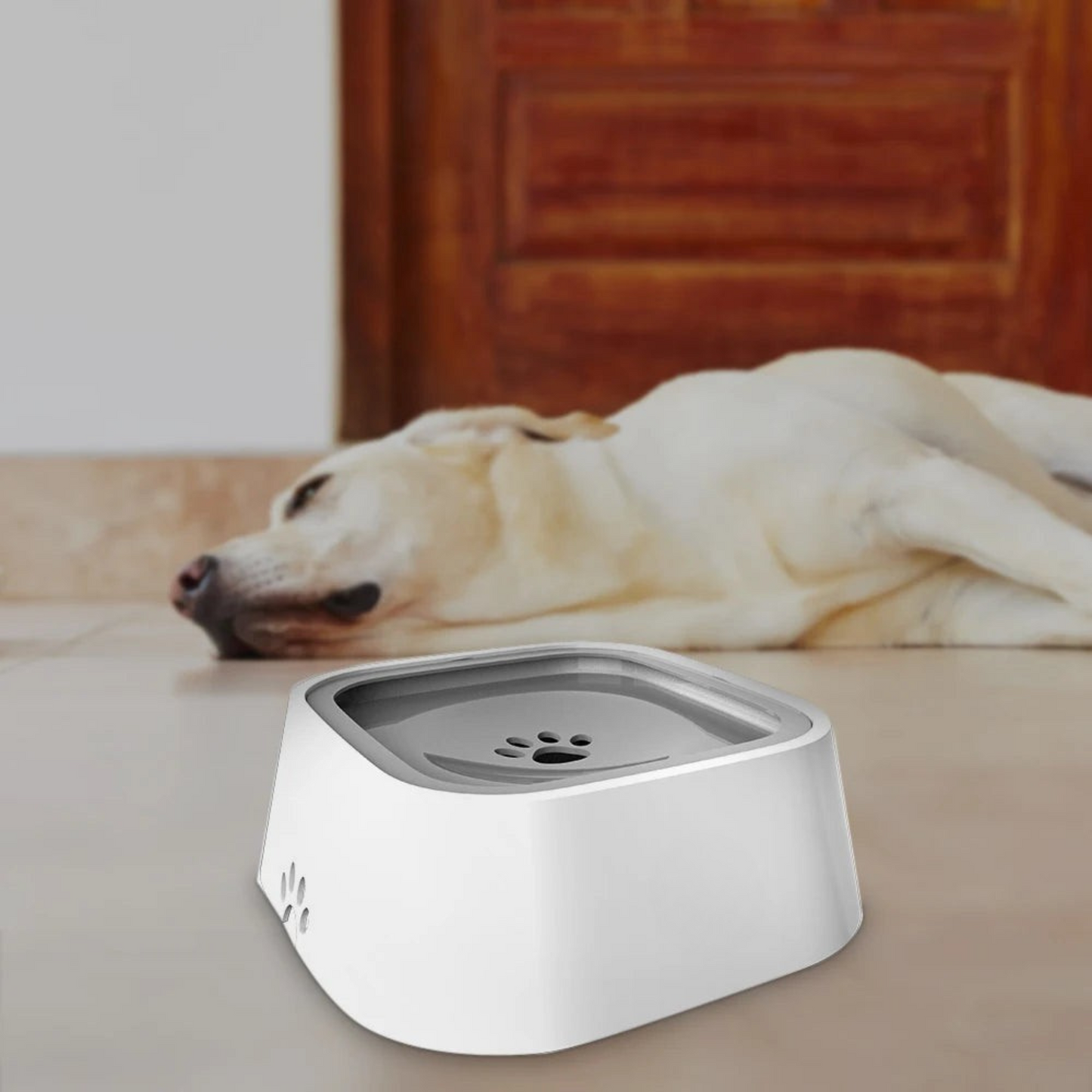 Aquapet